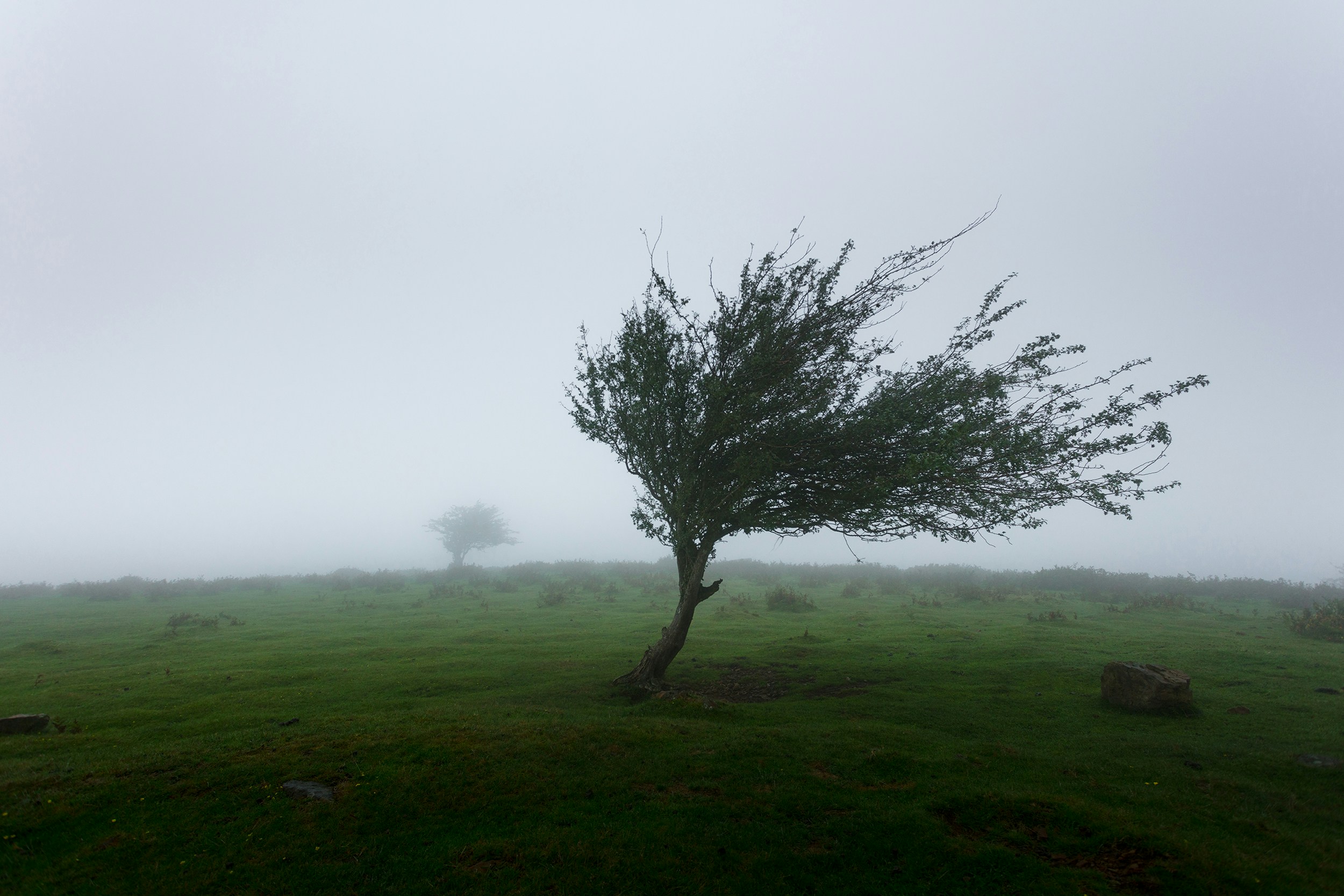 storm